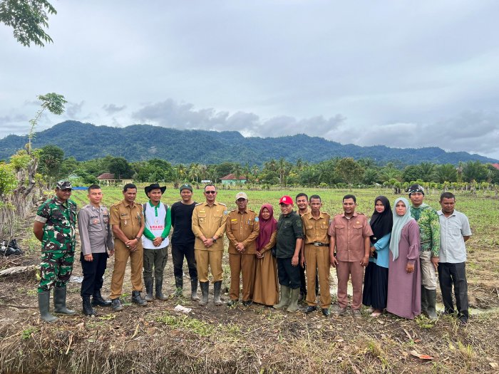 Pj Bupati Kunjungi Lahan Pertanian Milik Pemkab Yang Dikelola Oleh Tim AMANAH